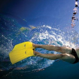 Pinna MONOFIN FINIS