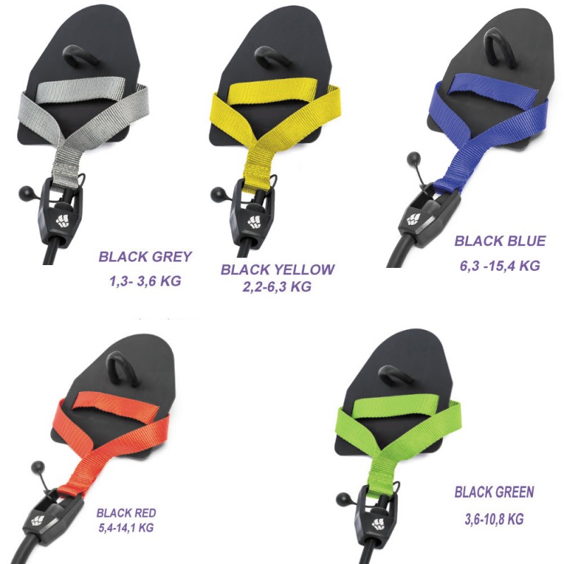 Elastico Allenamento a secco+Palette MADWAVE